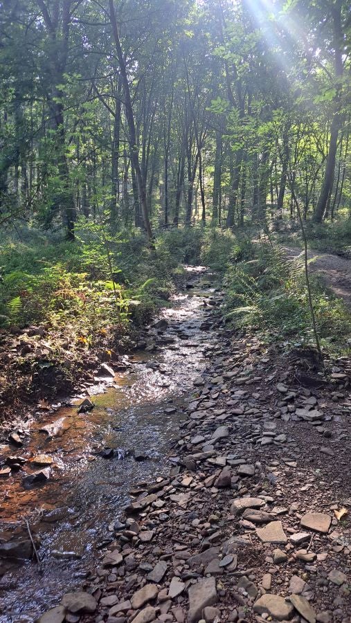 Marcha a Komizargaina por una buena causa