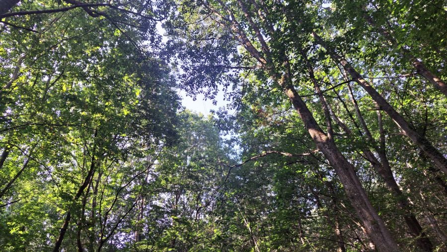 Marcha a Komizargaina por una buena causa