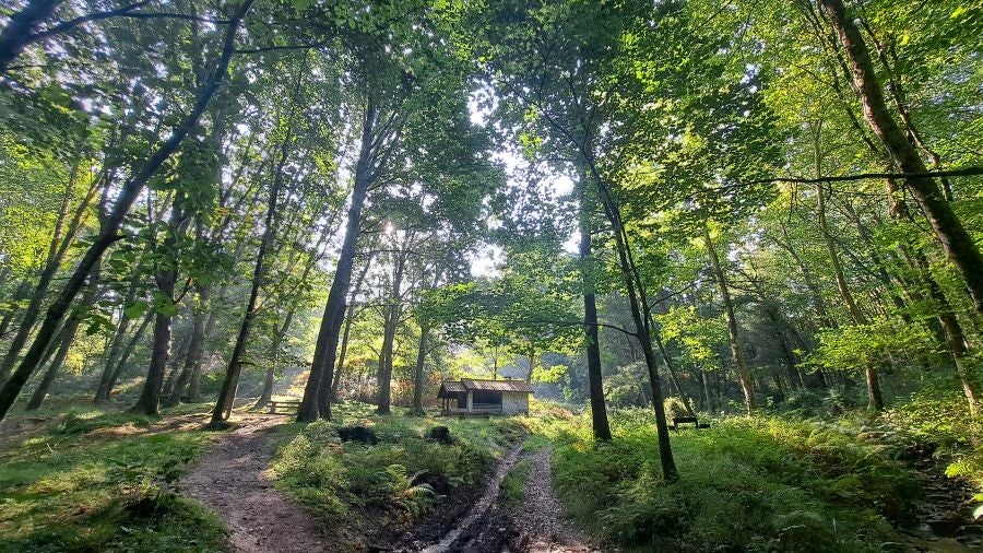 Marcha a Komizargaina por una buena causa