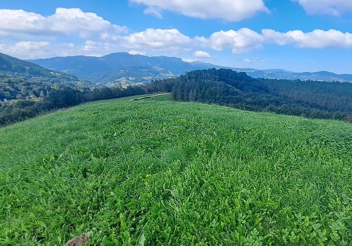Marcha a Komizargaina por una buena causa