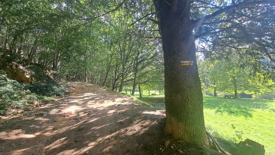 Marcha a Komizargaina por una buena causa