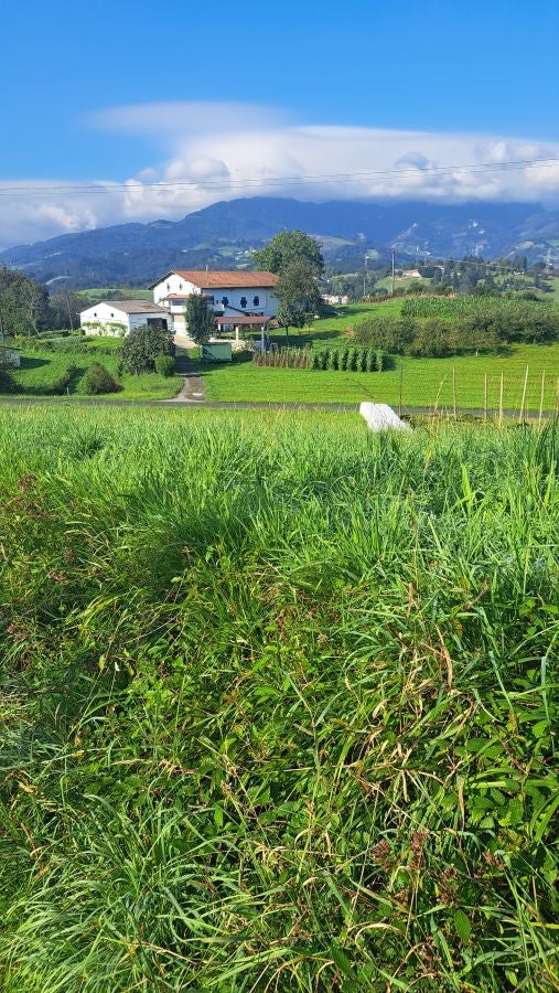 Marcha a Komizargaina por una buena causa