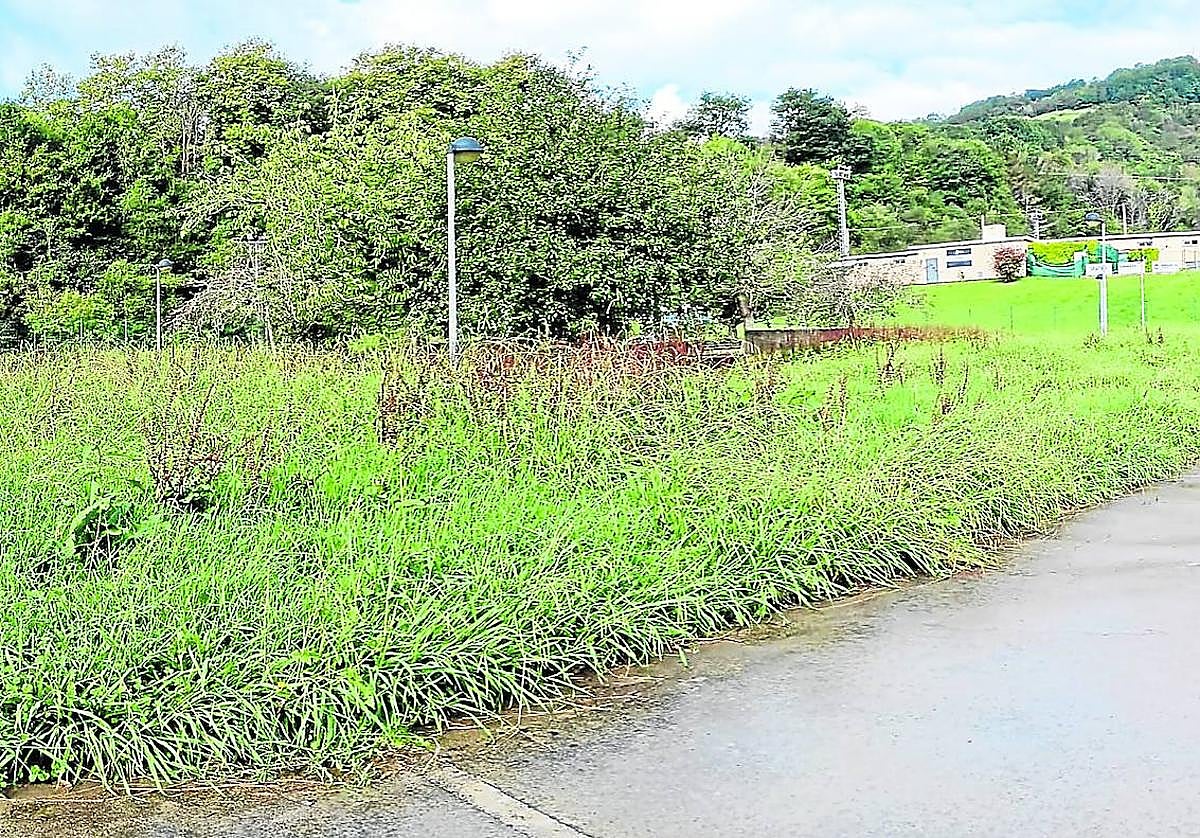 G. Ortega escribe: «¿Qué está sucediendo en esta ciudad en los últimos tiempos que no se hace el mantenimiento mínimo en parques y jardines? Solo los más céntricos, como el césped perfecto del paseo de La Concha, están en condiciones. Este es el parque que da acceso al campo de fútbol de Berio. La vegetación alcanza el metro de altura».