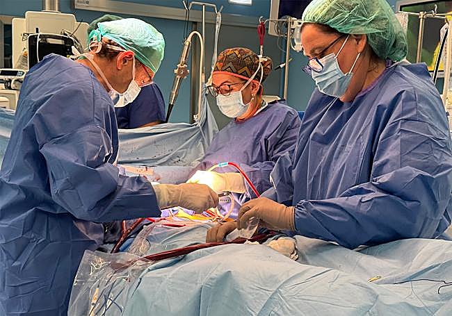 El equipo de Cirugía Cardíaca de Policlínica Gipuzkoa durante una intervención.