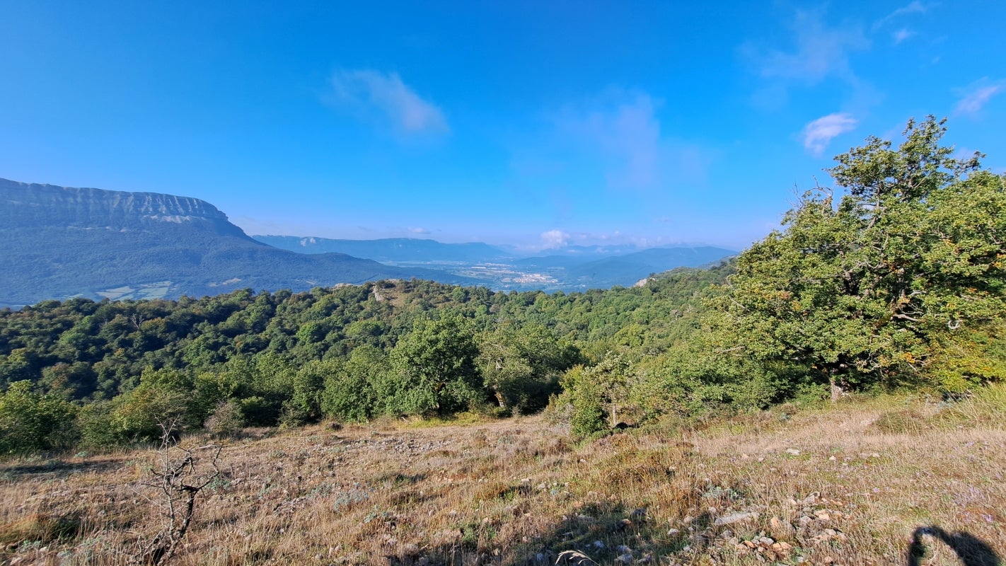 Ruta a la cima de Artxueta