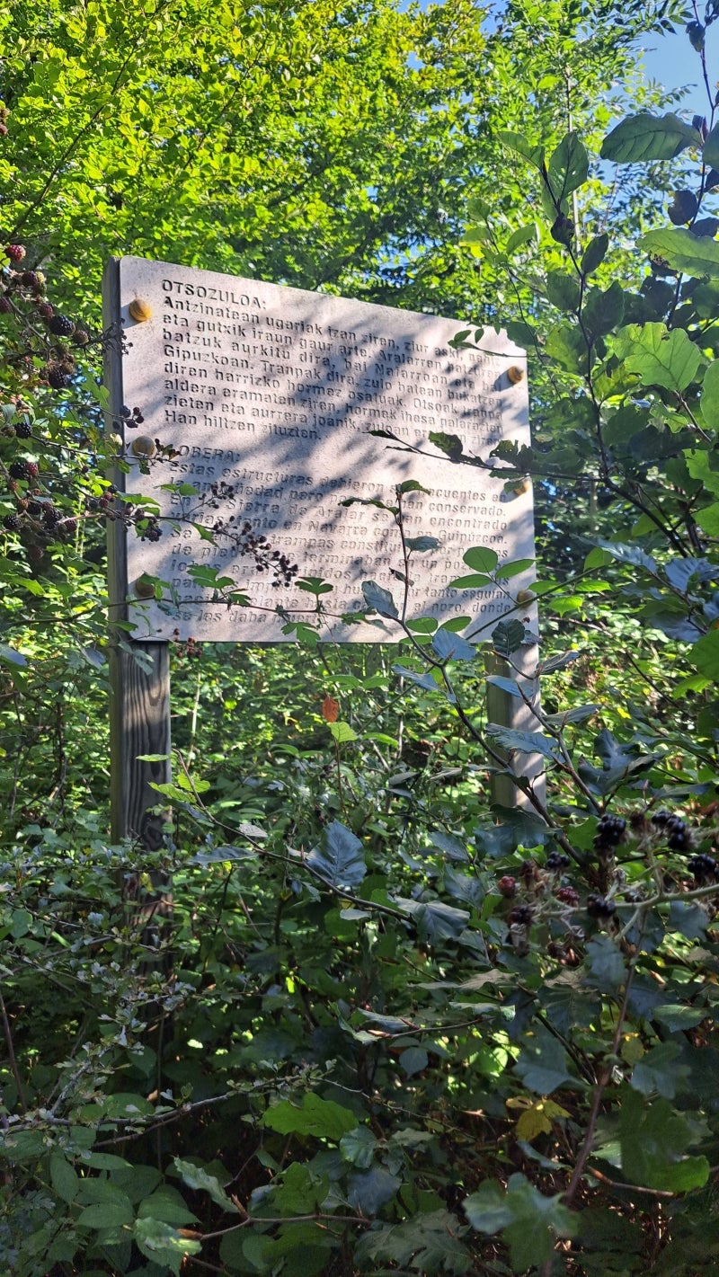 Ruta a la cima de Artxueta