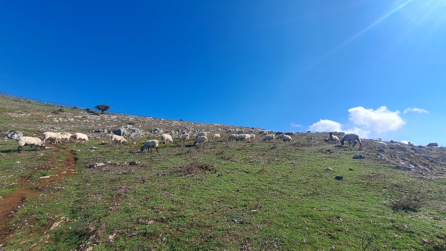 Ruta a la cima de Artxueta