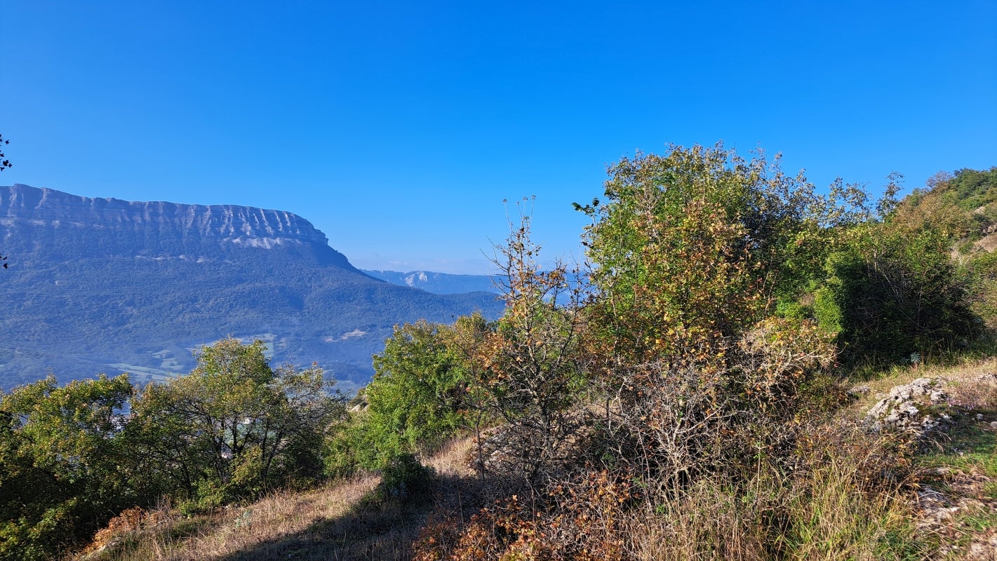 Ruta a la cima de Artxueta