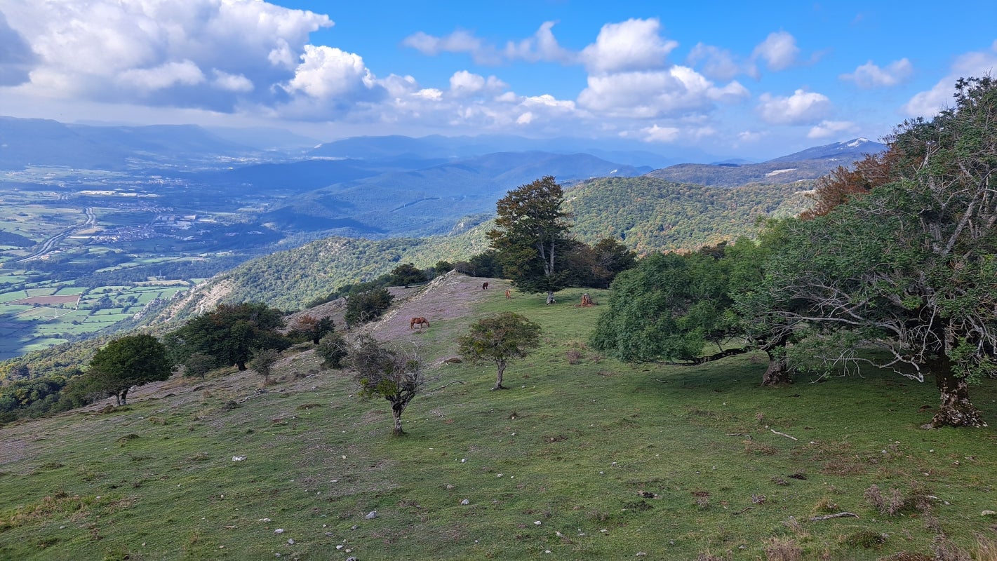 Ruta a la cima de Artxueta
