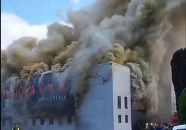 Vista de la humareda provocada por el incendio.