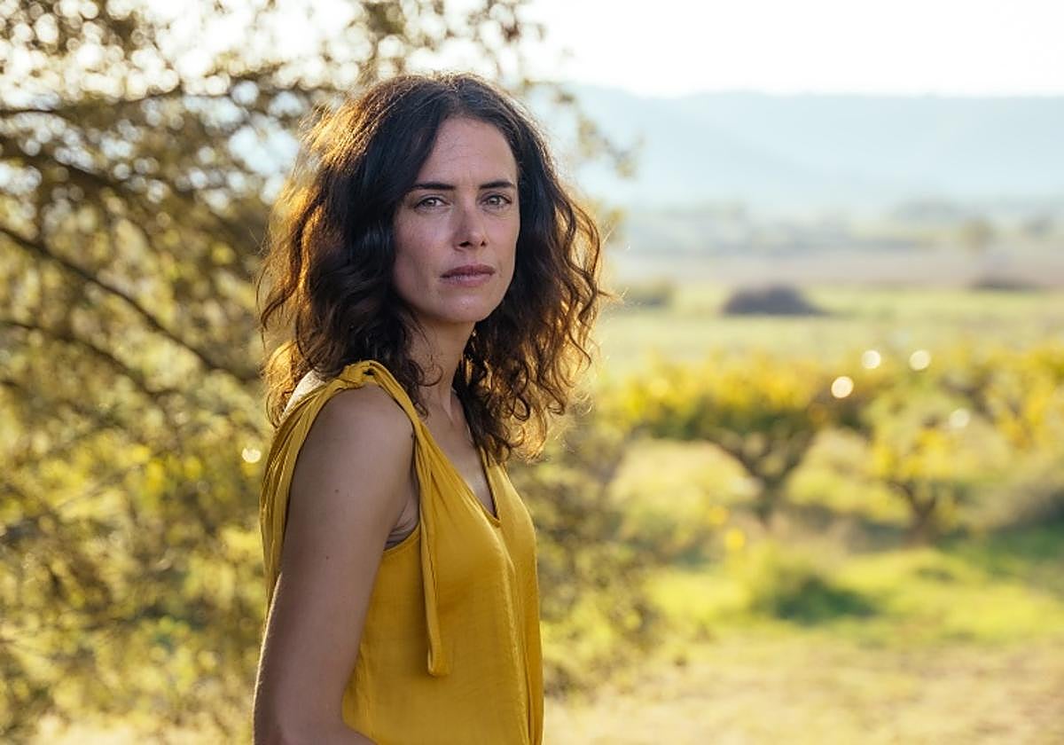 Quiniela DV: las notas a las películas de la sección oficial del Festival de Cine de San Sebastián