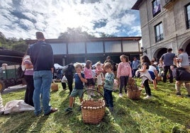 Niños recogiendo con kizkia y cesto las manzanas esparcidas por Foru plaza
