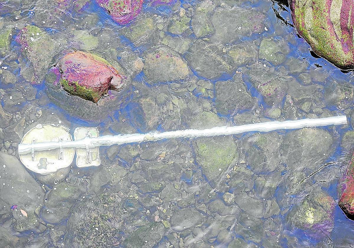 En los últimos tiempos se ha visto basura de todo tipo en el fondo del río Urumea, pero no es nada habitual encontrar una señal de tráfico. Parece claro que uno o varios gamberros la han arrancado de su base y la han tirado al agua, dejando la bajamar al descubierto su fechoría. Una lástima tan poco civismo por parte de algunos.