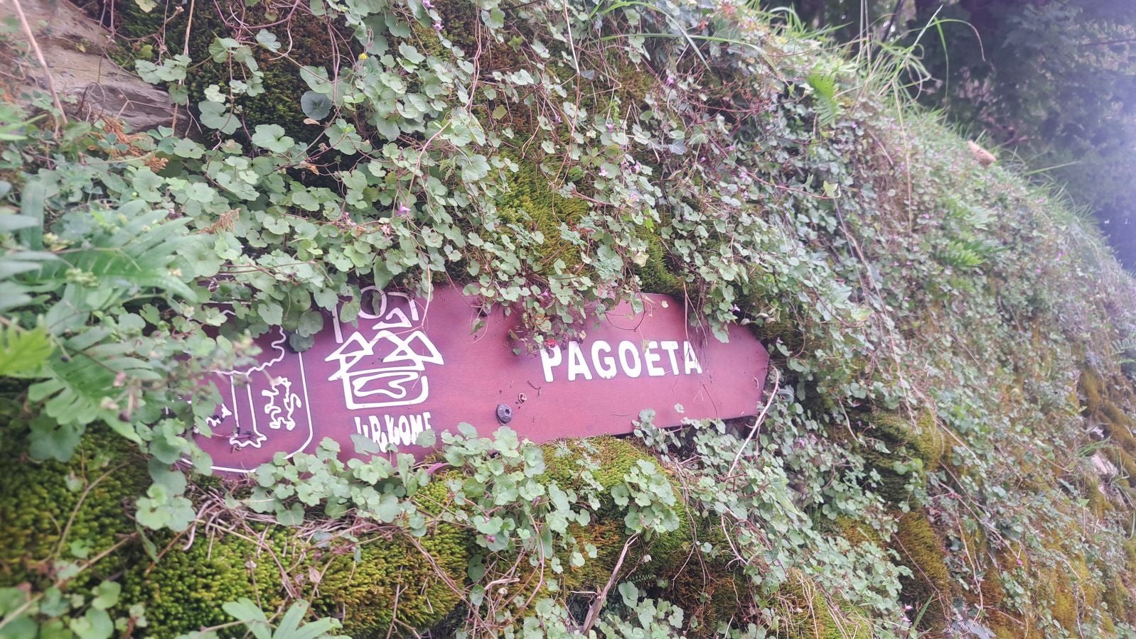 Pagoeta: un paraíso natural