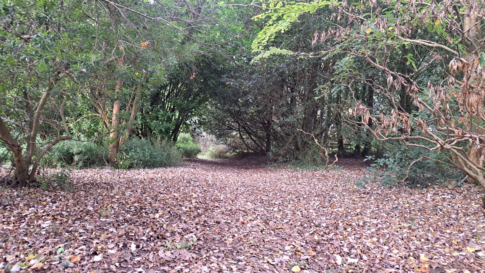 Pagoeta: un paraíso natural