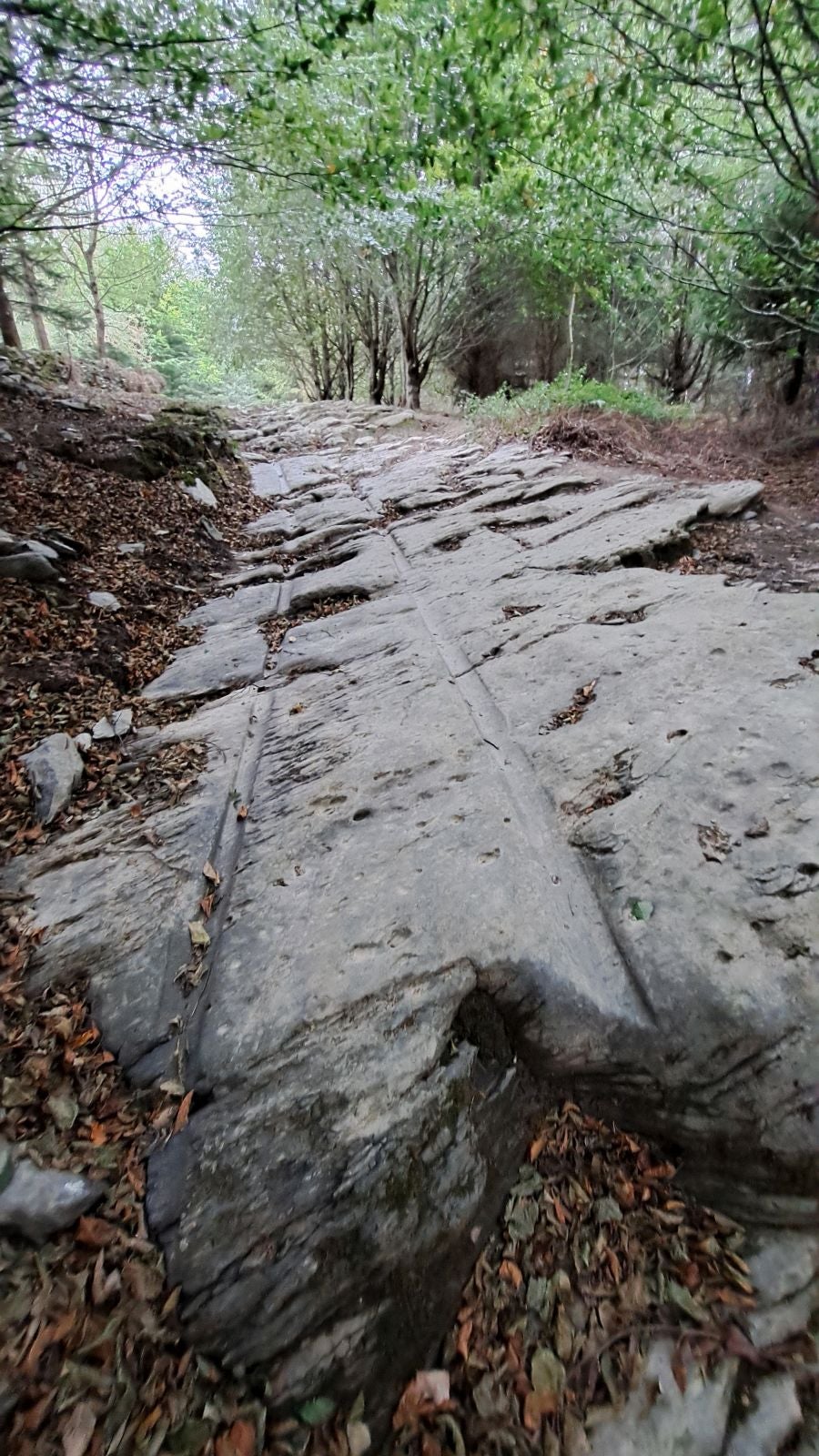 Pagoeta: un paraíso natural