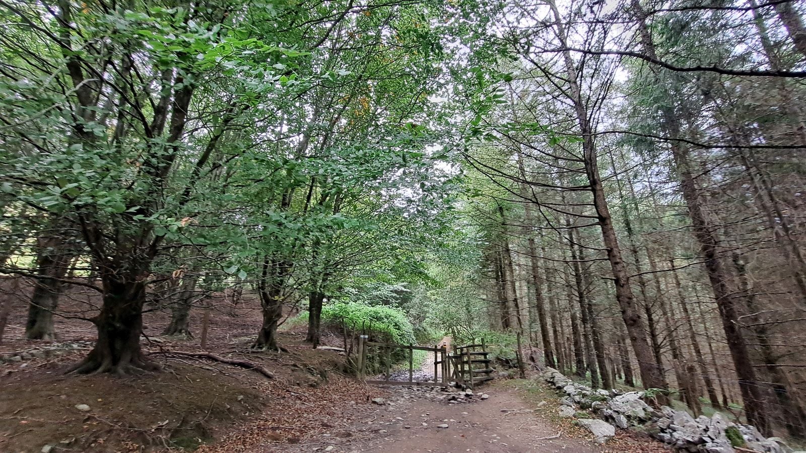 Pagoeta: un paraíso natural