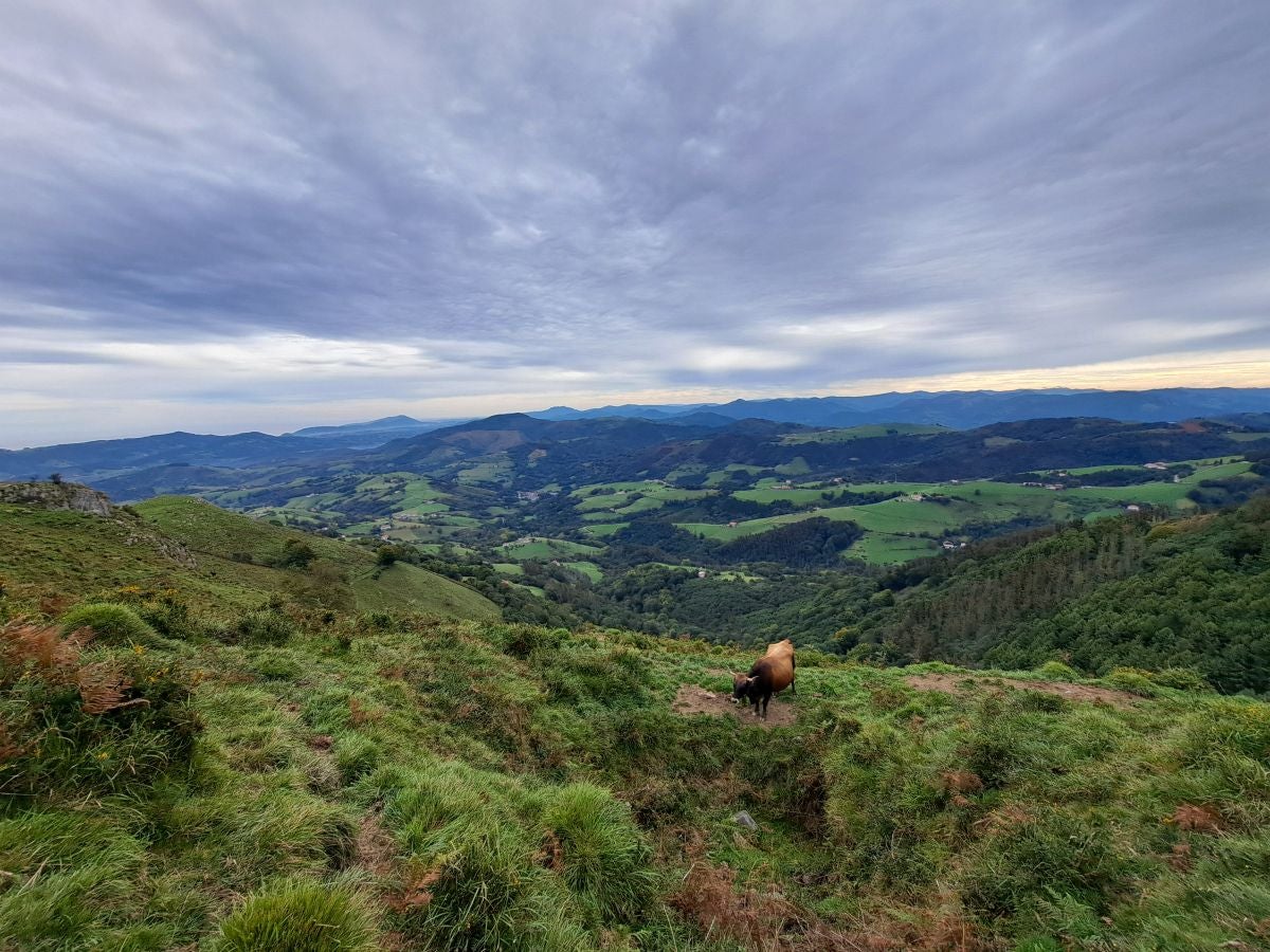 Pagoeta: un paraíso natural