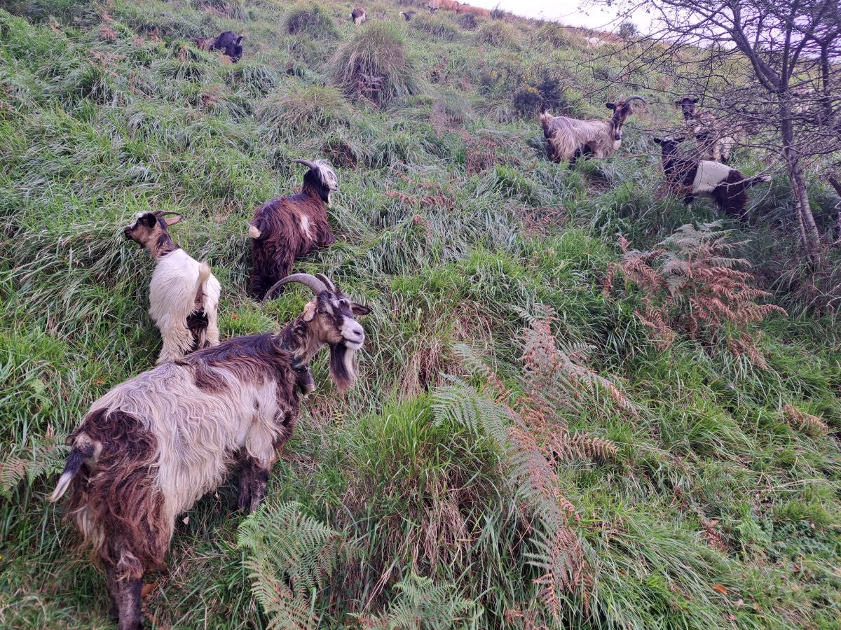 Pagoeta: un paraíso natural