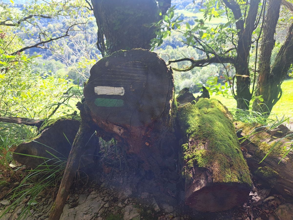 Pagoeta: un paraíso natural