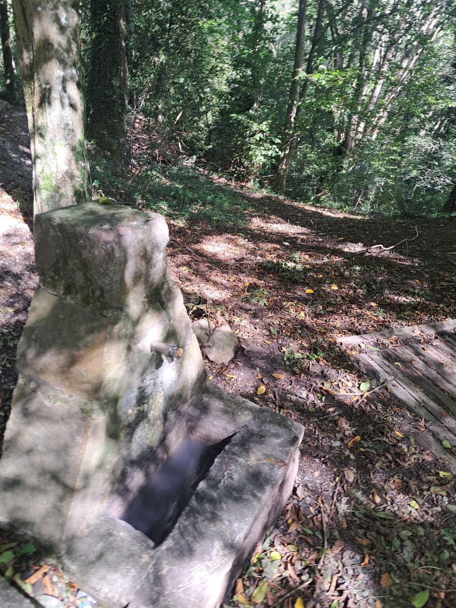 Pagoeta: un paraíso natural