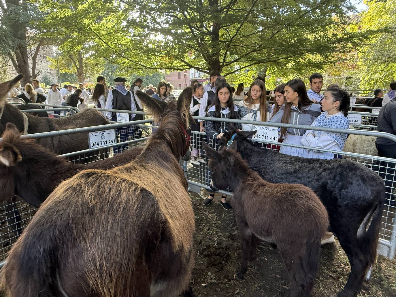 2.600 litros de sidra y 2.000 talos en un txotx multitudinario