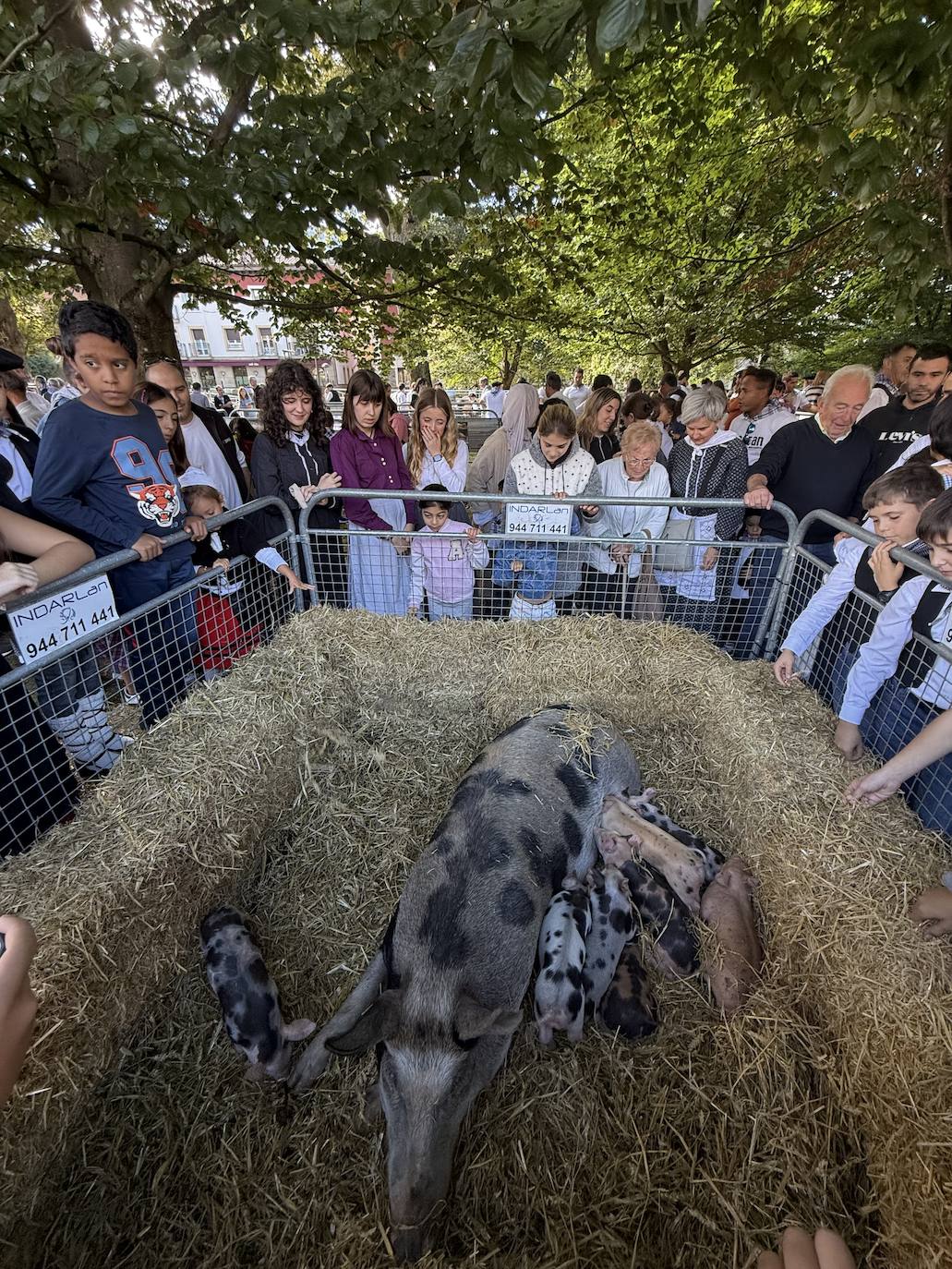 2.600 litros de sidra y 2.000 talos en un txotx multitudinario