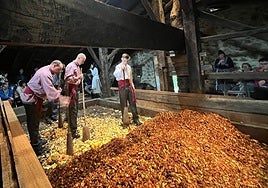 Inauguración de la Sagar Astea en el caserío Igartubeiti este miércoles