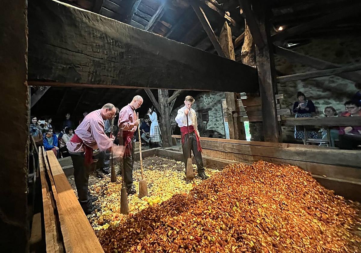 Inauguración de la Sagar Astea en el caserío Igartubeiti este miércoles