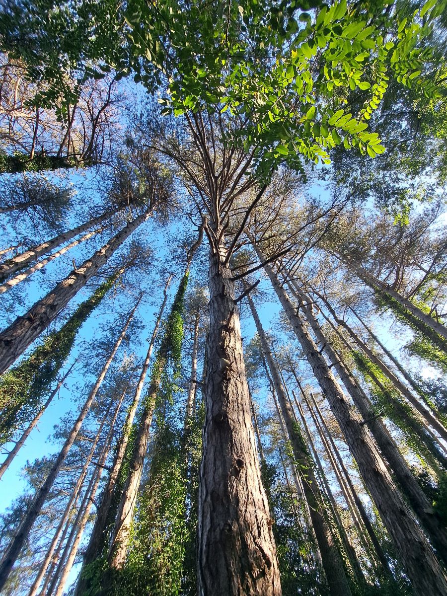 Visitamos Agerreburu, el mirador de Santa Bárbara