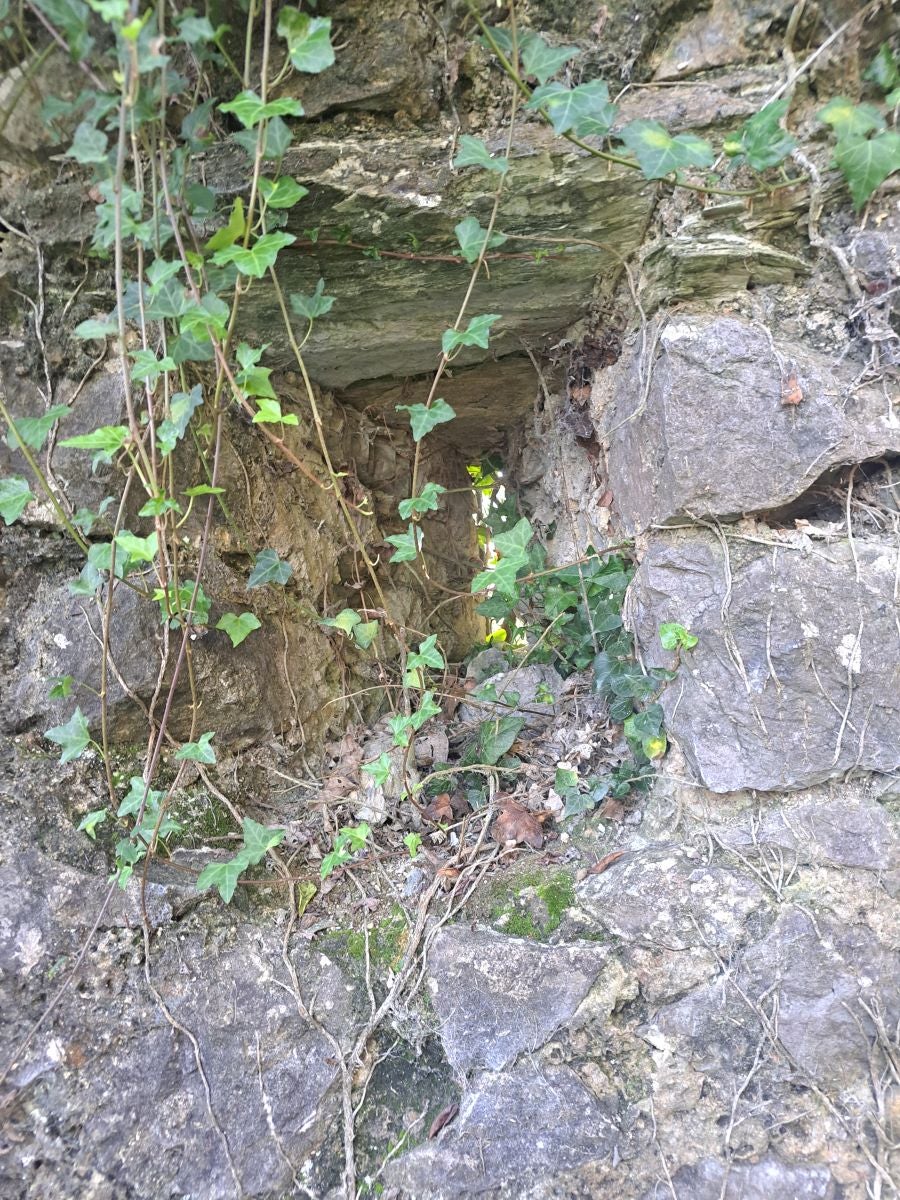 Visitamos Agerreburu, el mirador de Santa Bárbara