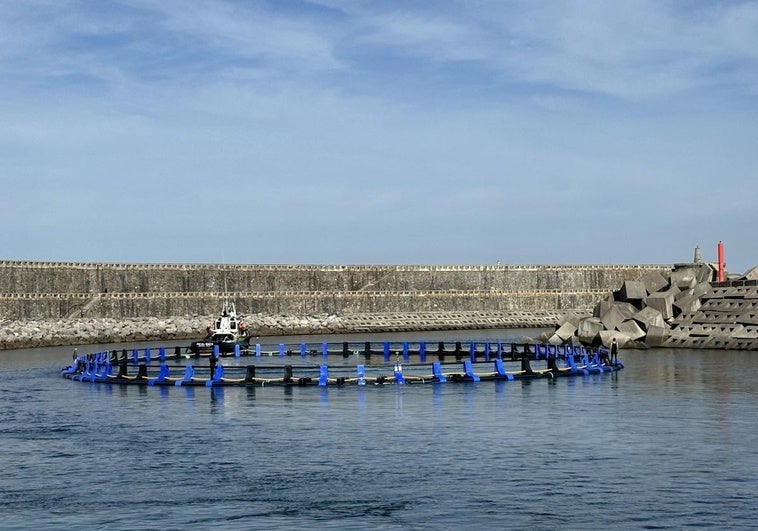 La primera de las jaulas fue arrastrada ayer mar adentro por un remolcador desde el puerto de Orio a Getaria