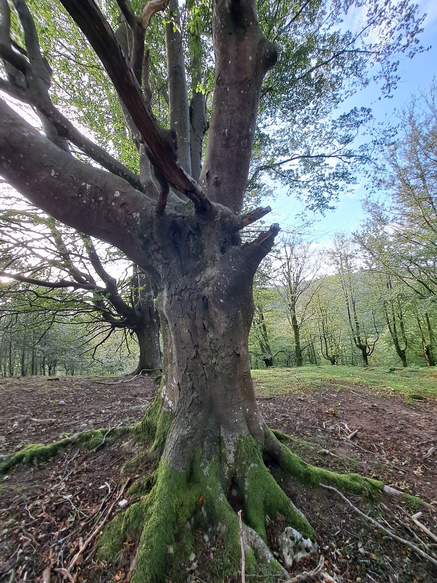 Las mejores imágenes de la ruta a Agiña