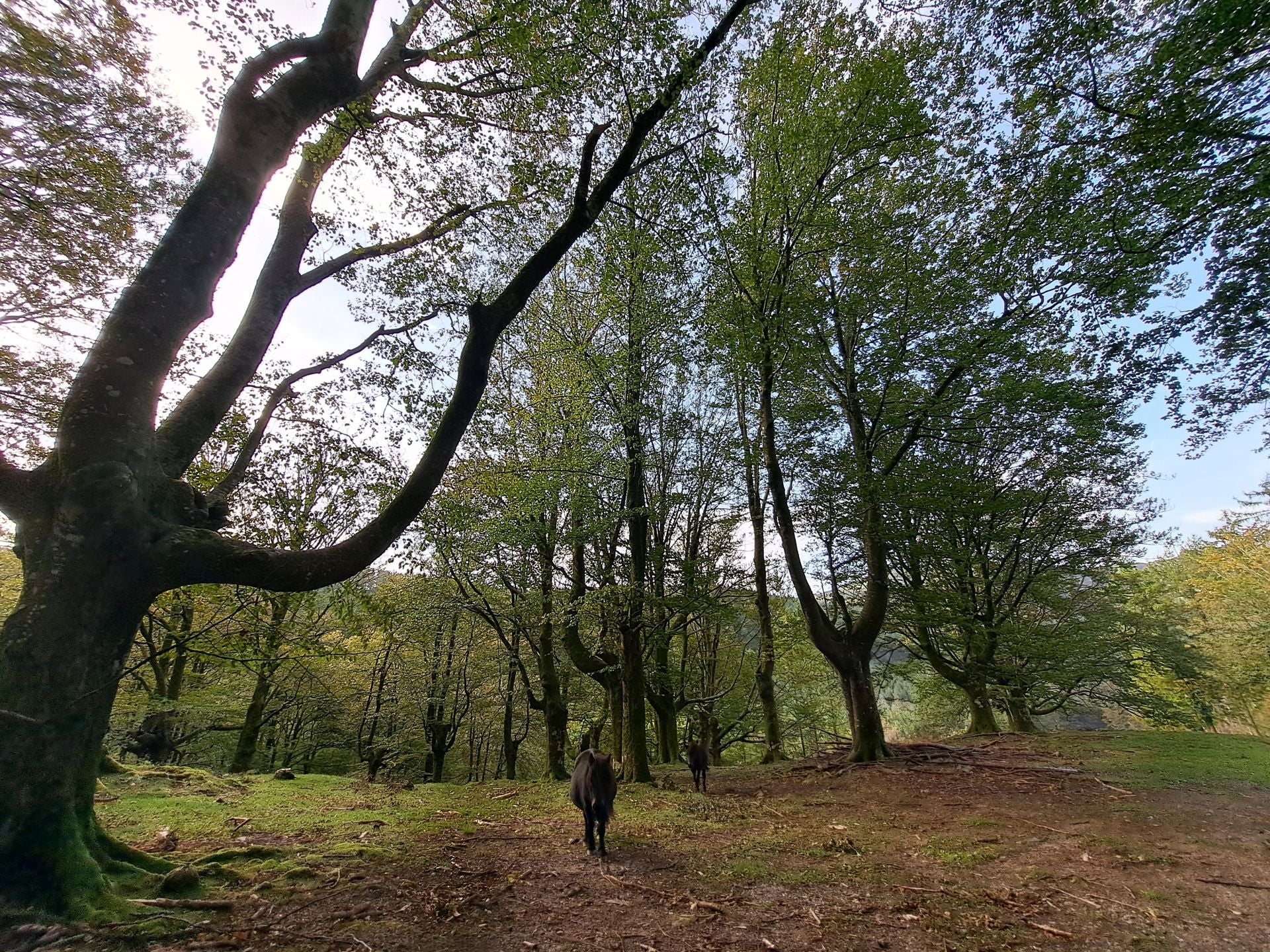 Las mejores imágenes de la ruta a Agiña