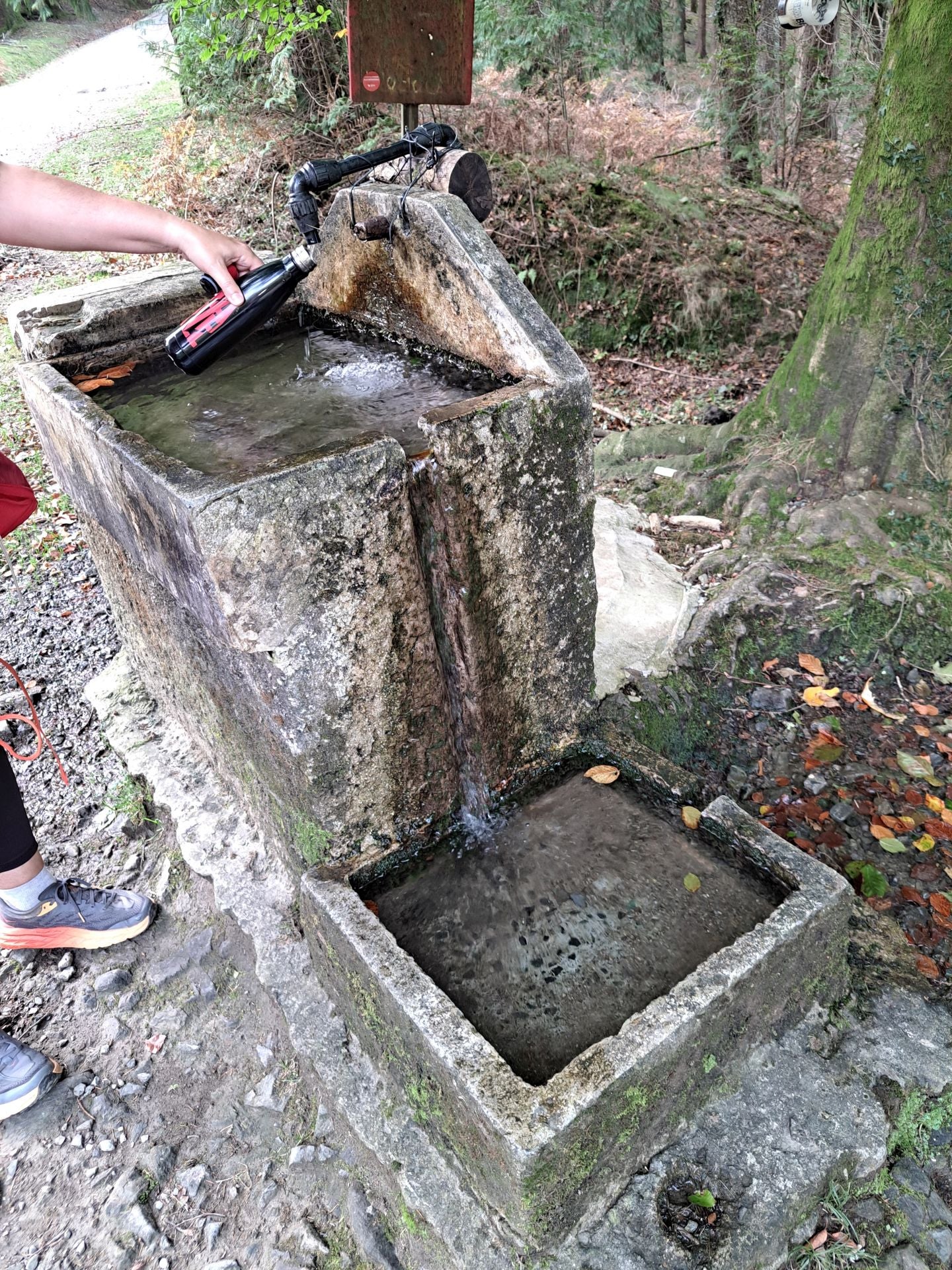 Las mejores imágenes de la ruta a Agiña