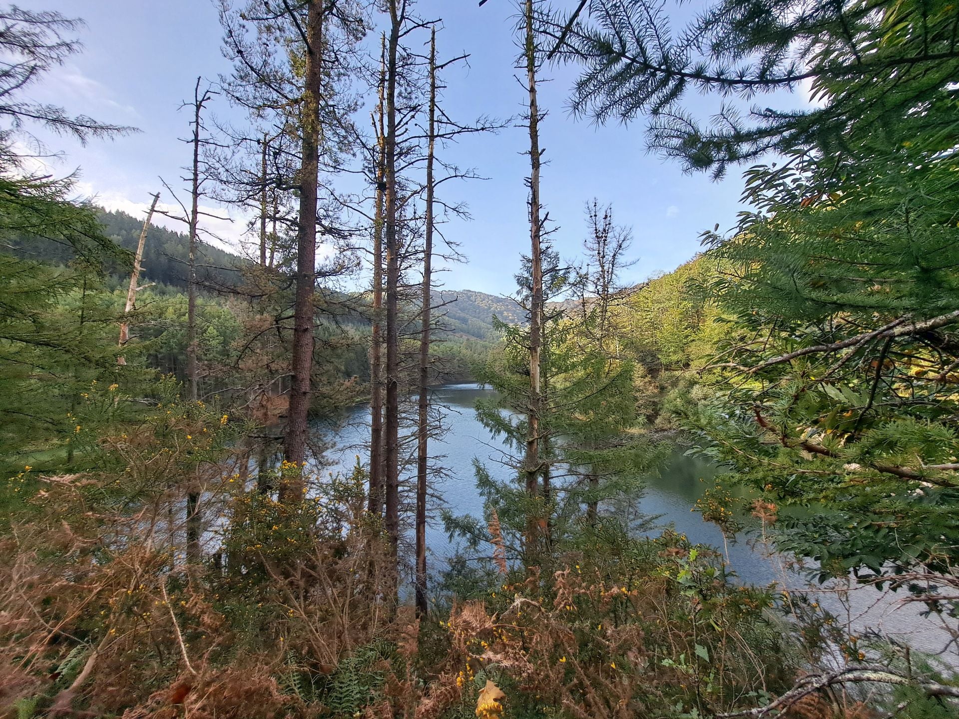 Las mejores imágenes de la ruta a Agiña