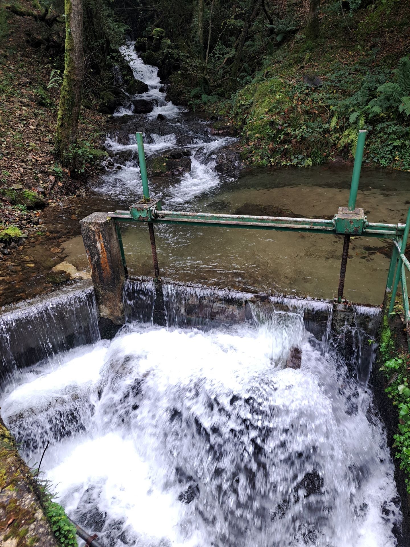 Las mejores imágenes de la ruta a Agiña