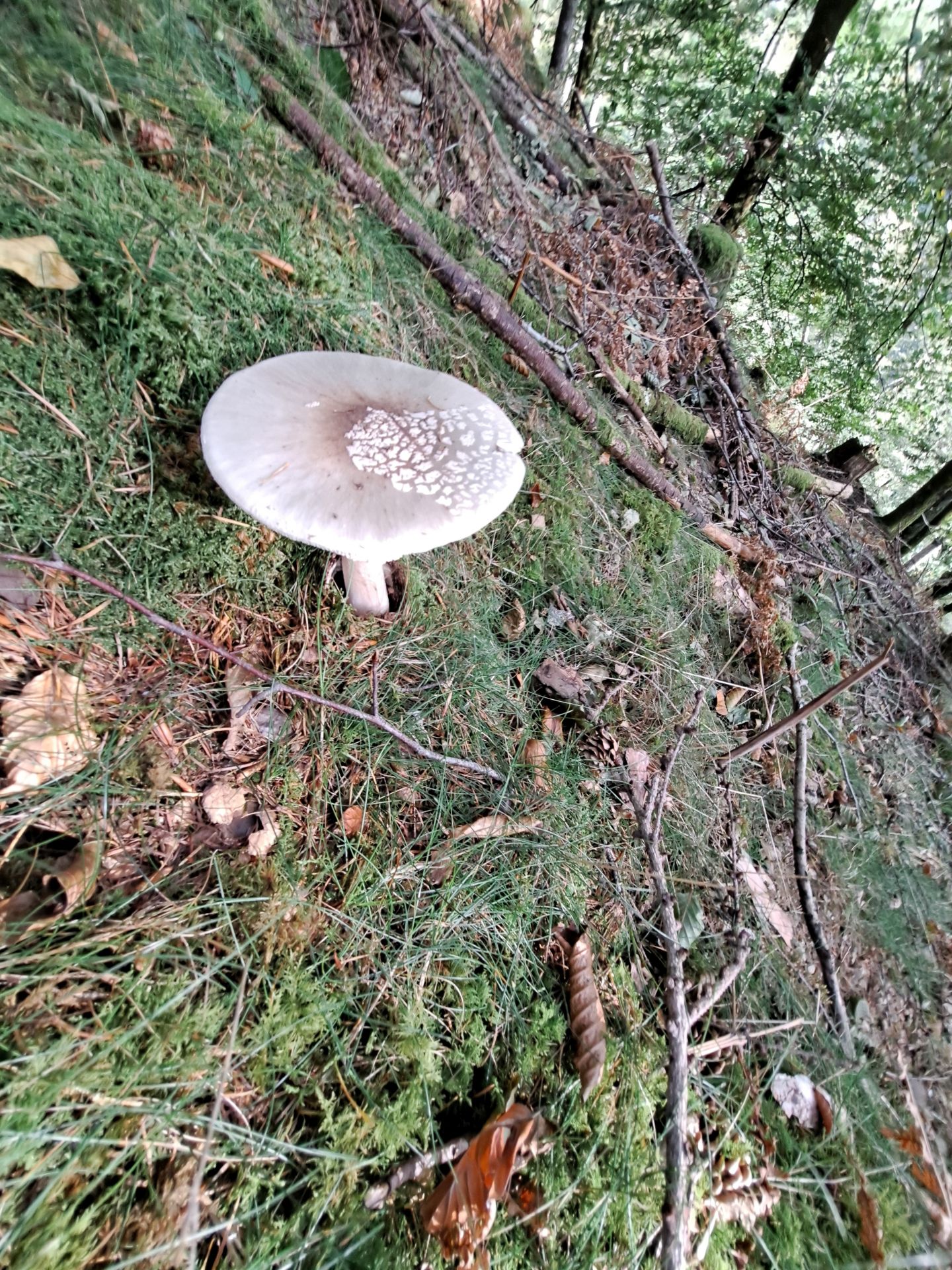 Las mejores imágenes de la ruta a Agiña