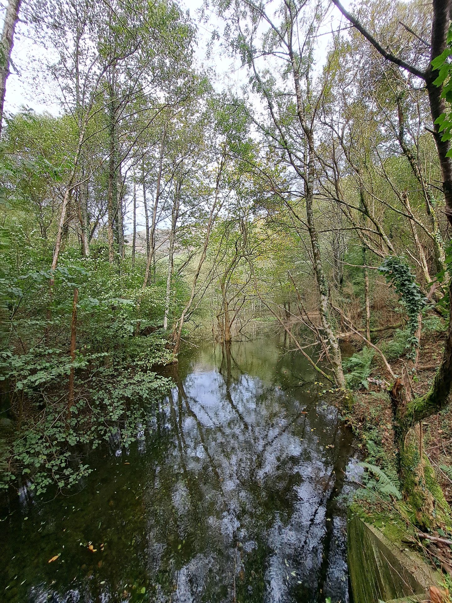 Las mejores imágenes de la ruta a Agiña