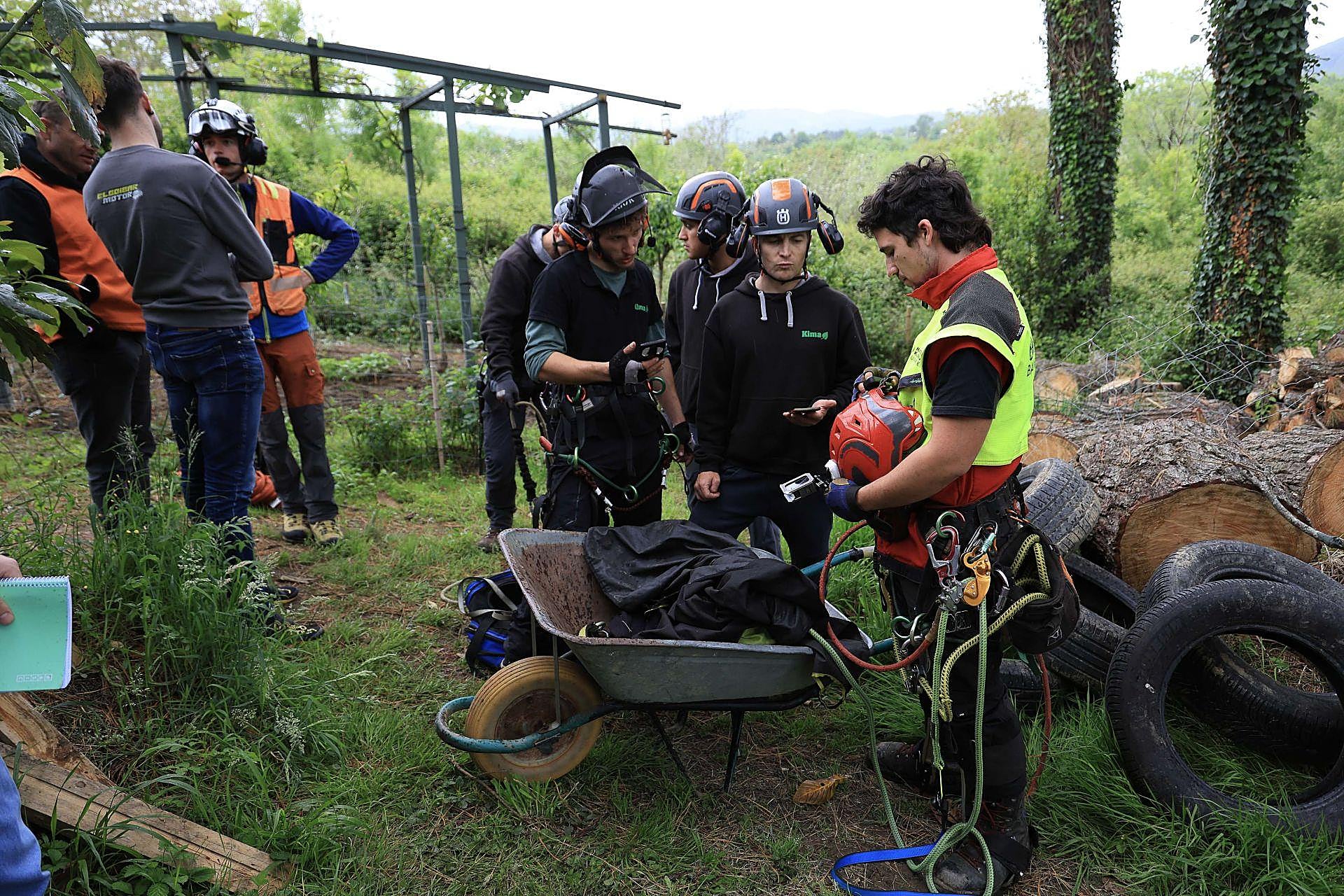 La poda de altura con helicóptero, en imágenes