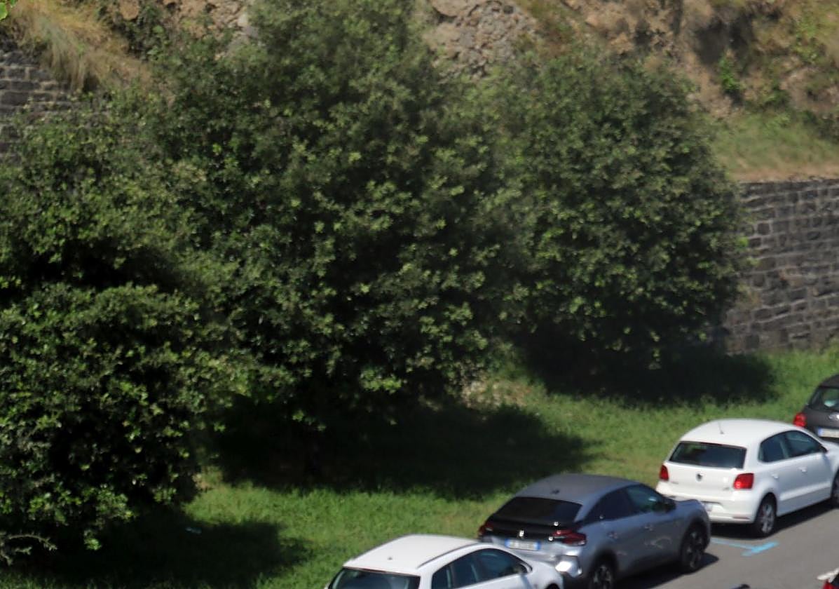 Malkorben hasiko dira.