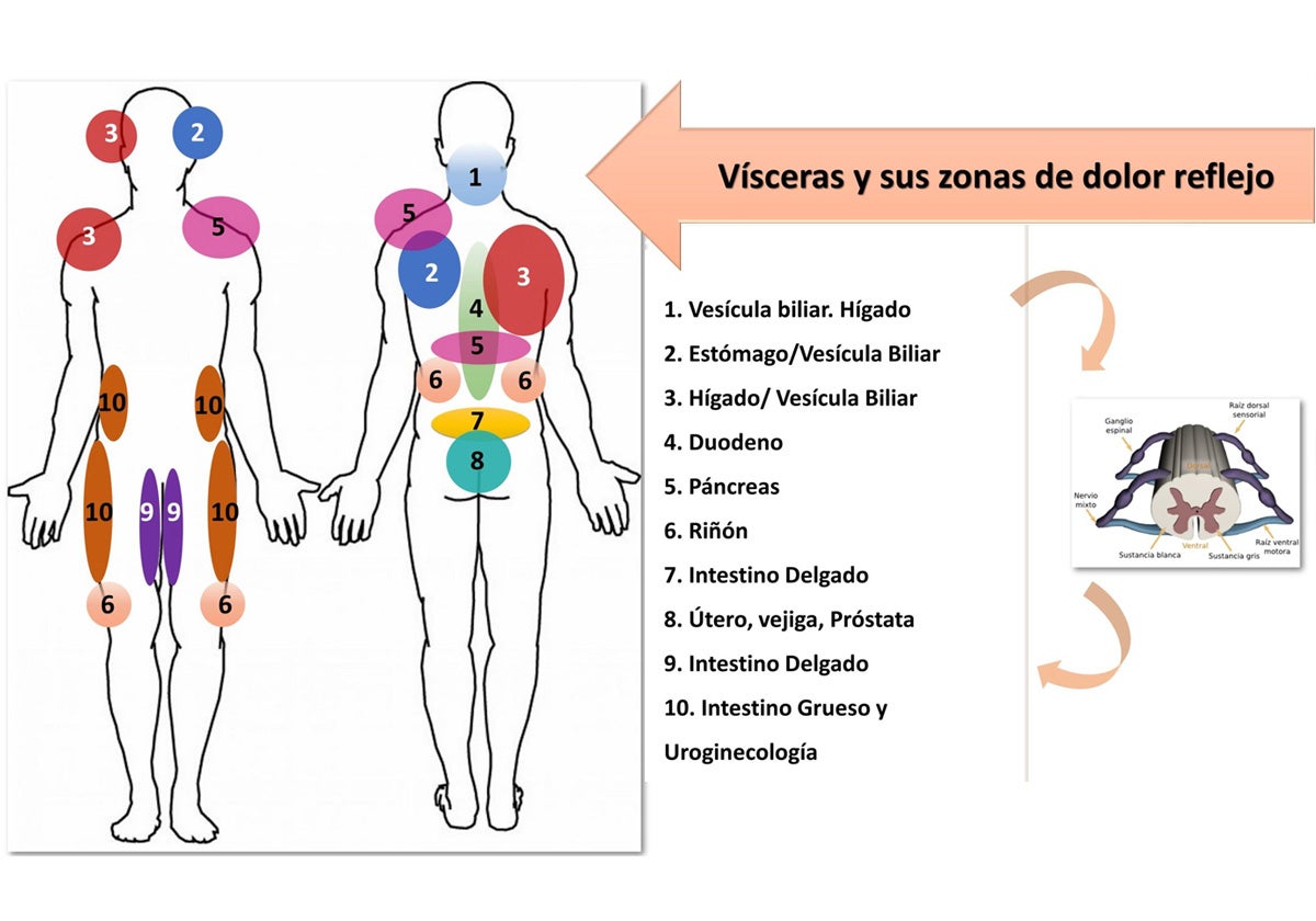 Fisiogenómica: tu ADN en la mesa