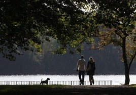 Gipuzkoa, el lugar preferido por los navarros para buscar el amor fuera de sus fronteras