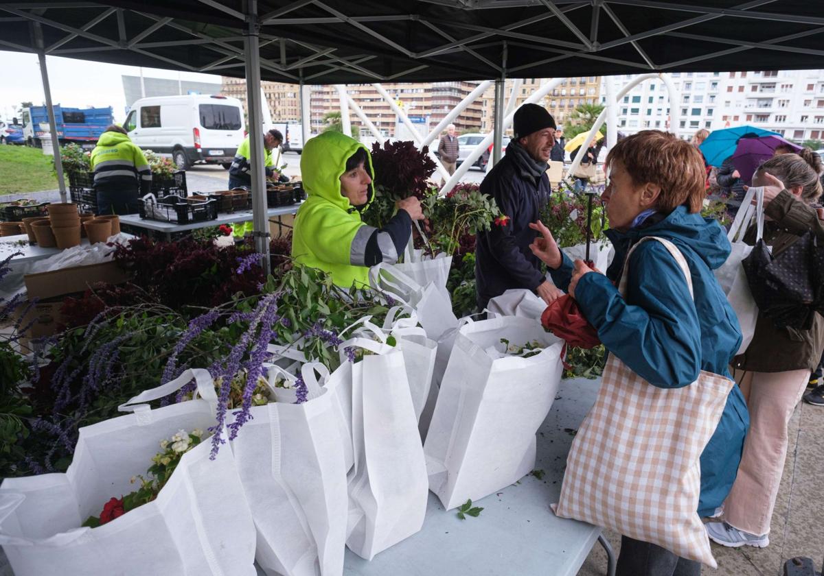 Reparto de flores y plantas de hace un año en la plaza Ramón Labayen.