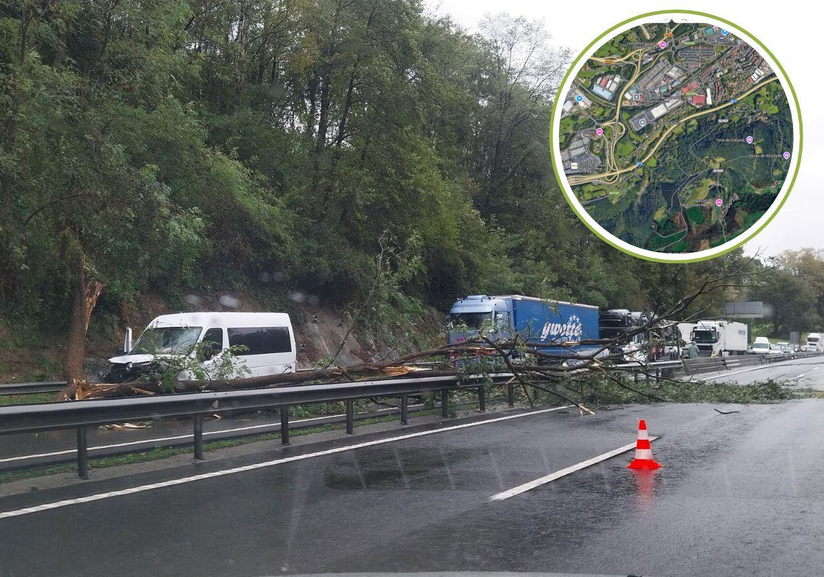 Se restablece el tráfico en la A-8 en Irun tras la caída de un árbol de grandes dimensiones