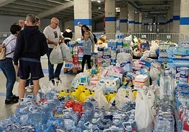 Los productos recogidos este sábado por la mañana en el Reale Arena.