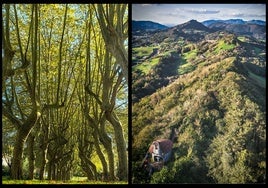 Fotografía tomada en un parque guipuzcoano (izquierda) y desde la cima de Santa Bárbara (Hernani)