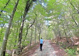 Los bosques a los pies de Irumugeta lucen unas preciosas estampas en la explosión de tonos de otoño.