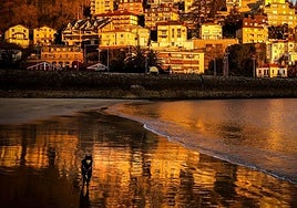 Un perro corretea por la playa de Ondarreta.