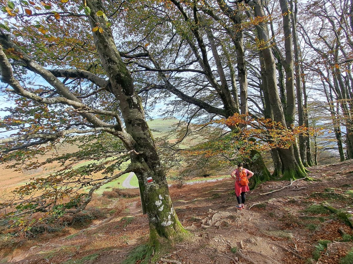 Hautza, una cima navarra vistas espectaculares